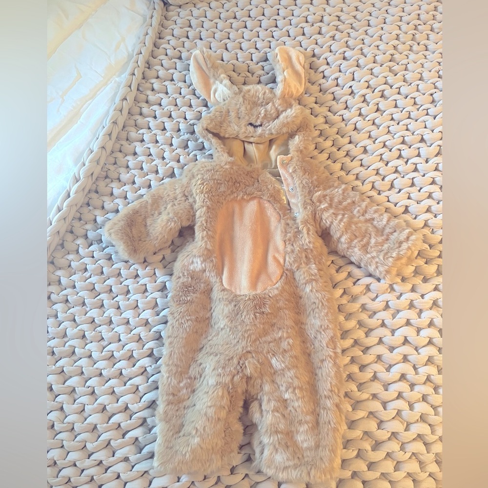 Pottery Barn Kids Baby Dog Costume 6-12M